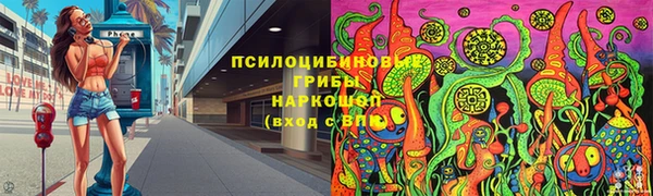 ешки Алексин