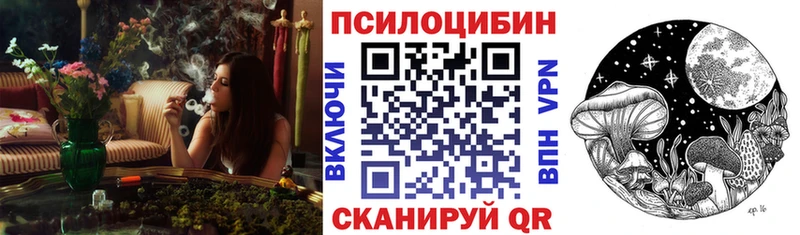 Галлюциногенные грибы Psilocybine cubensis  Лаишево 